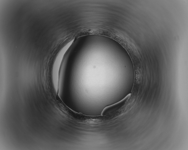 X0000086900748200705141642