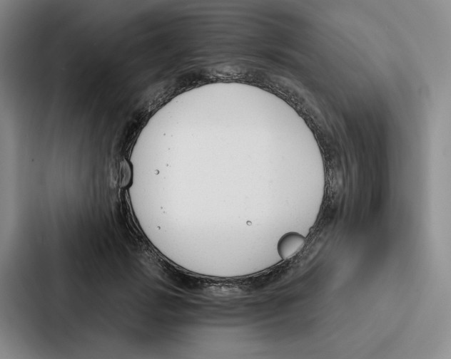 X0000086900749200705141642