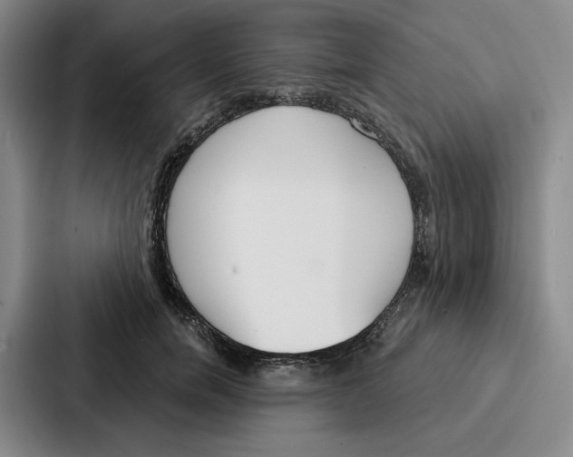 X0000086900750200705141642