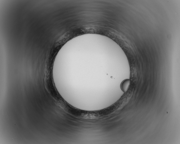 X0000086900751200705141642