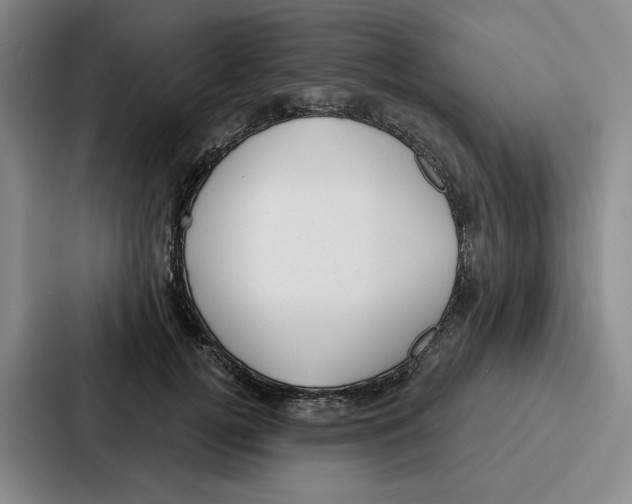 X0000086900752200705141642