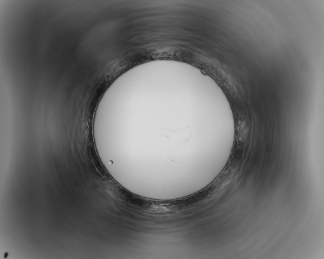 X0000086900753200705141642