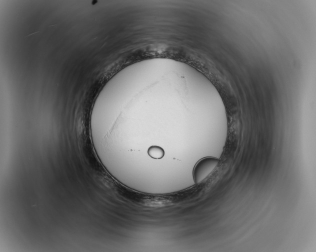 X0000086900754200705141642