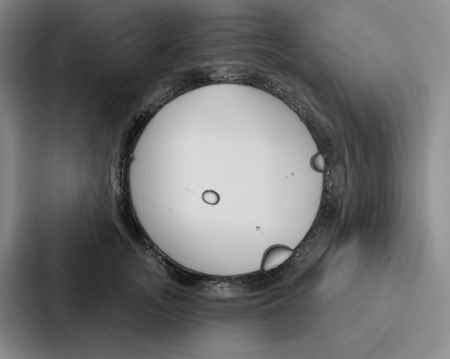 X0000086900755200705141642