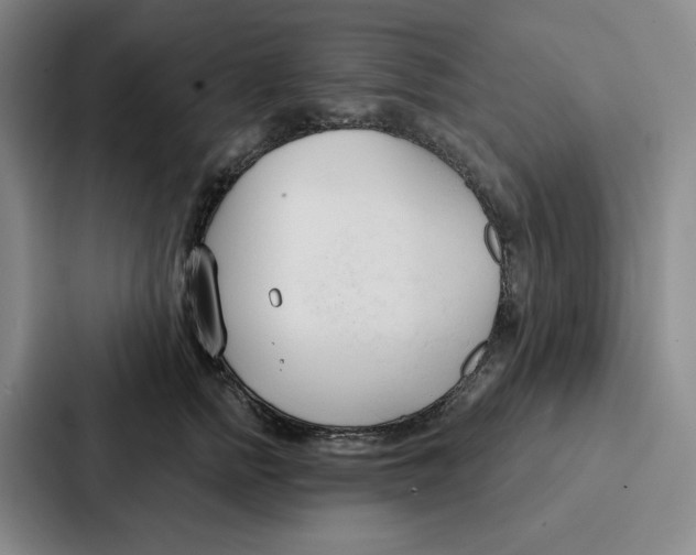 X0000086900758200705141642