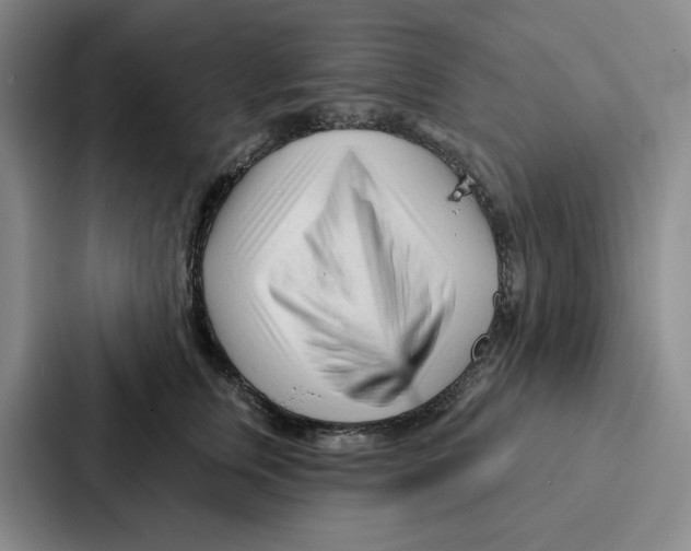 X0000086900759200705141642