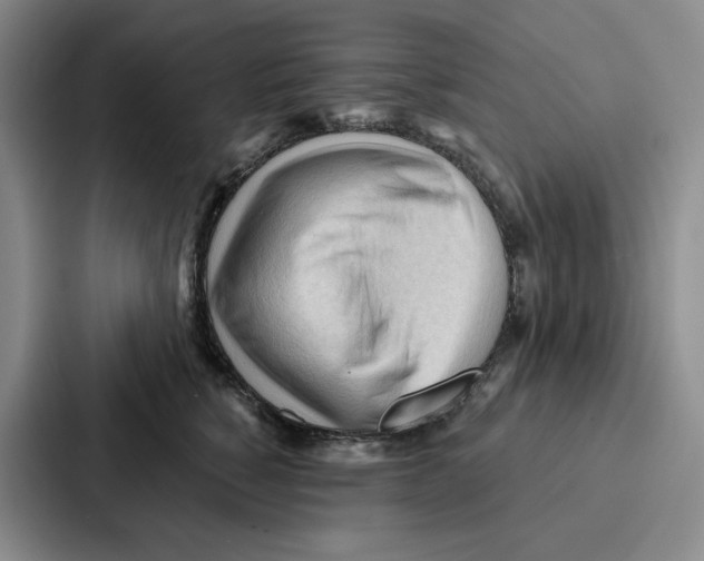 X0000086900760200705141642