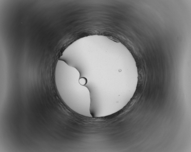 X0000086900762200705141642