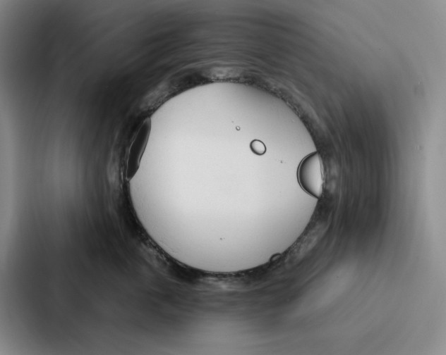 X0000086900763200705141642