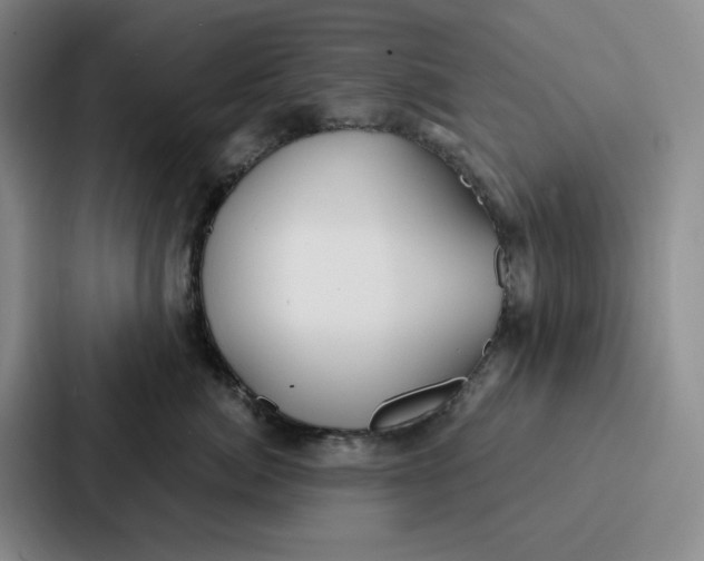 X0000086900764200705141642