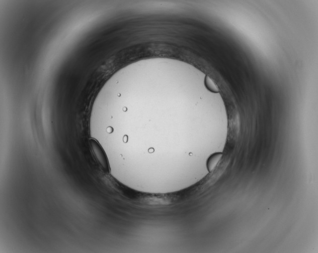 X0000086900765200705141642