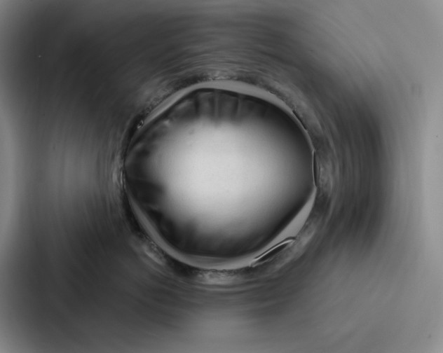 X0000086900766200705141642