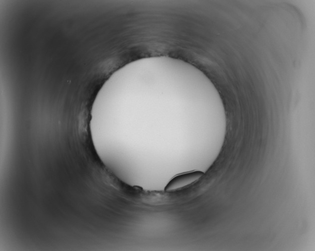 X0000086900768200705141642