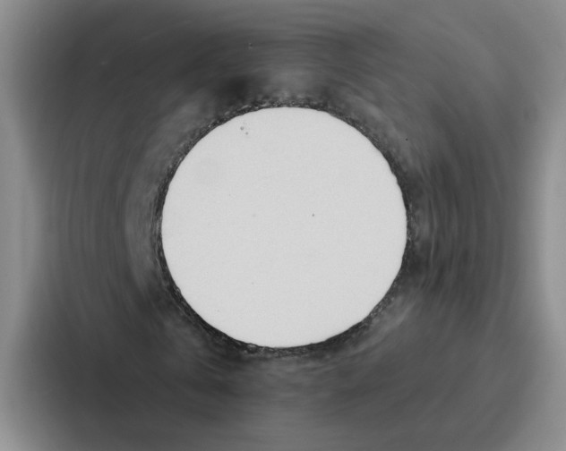 X0000086900769200705141642