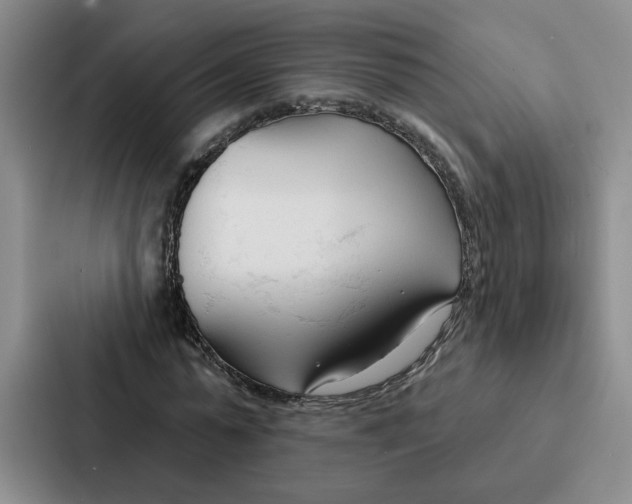 X0000086900775200705141642