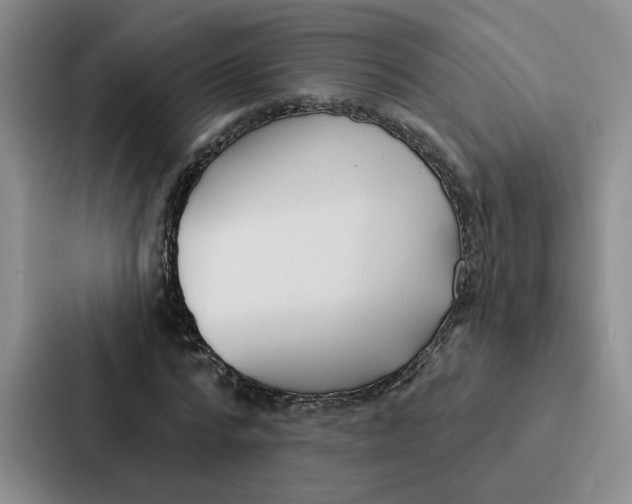 X0000086900776200705141642