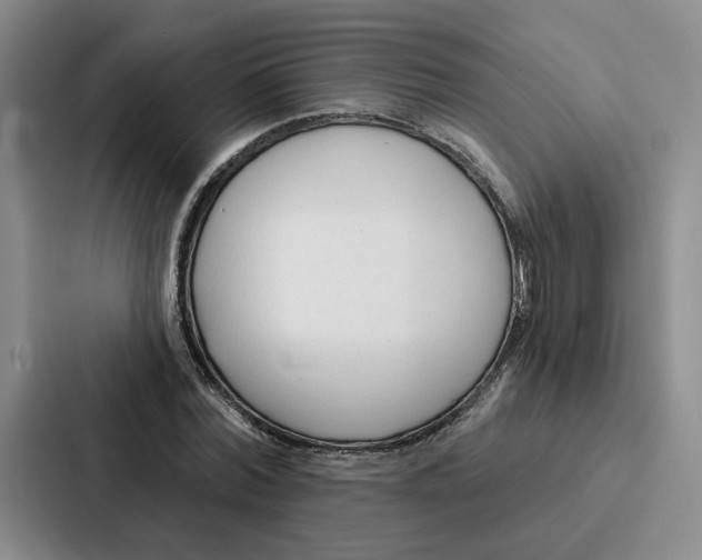 X0000086900780200705141642