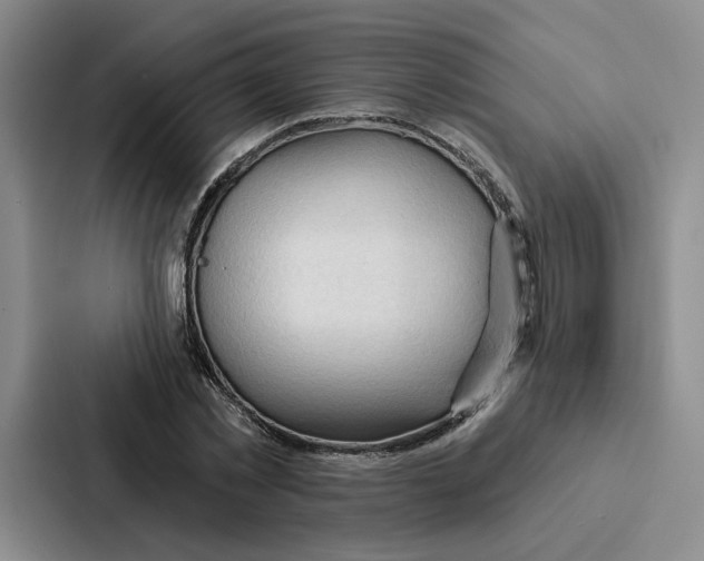 X0000086900781200705141642