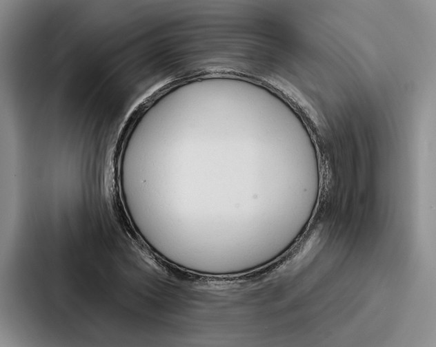 X0000086900782200705141642