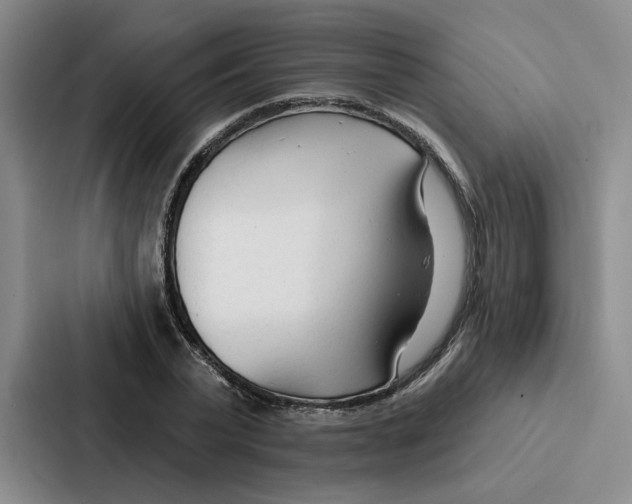 X0000086900783200705141642