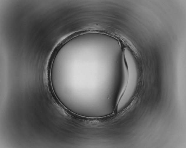 X0000086900784200705141641