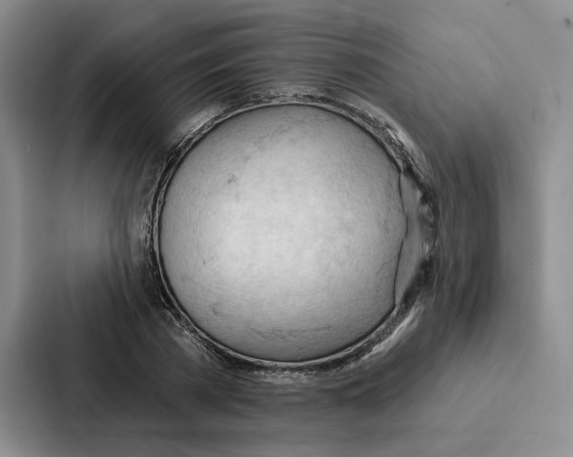 X0000086900785200705141641