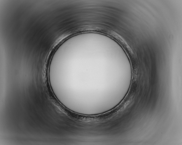 X0000086900786200705141641