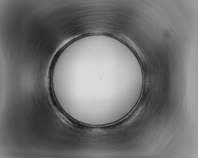 X0000086900787200705141641