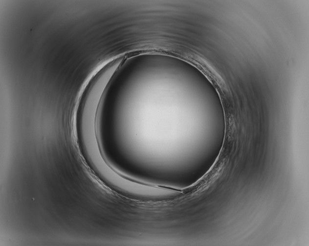 X0000086900788200705141641