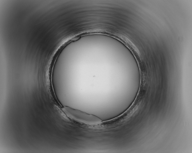 X0000086900789200705141641