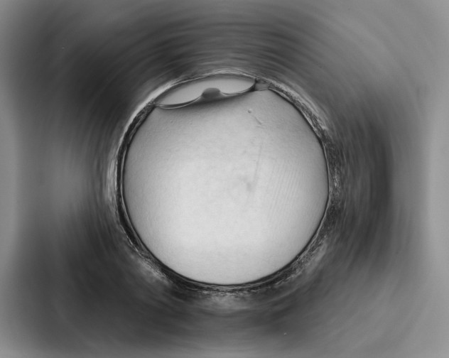 X0000086900790200705141641