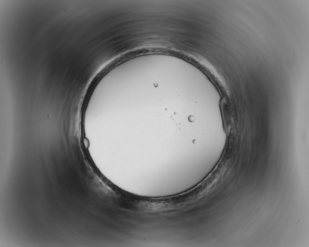 X0000086900791200705141641