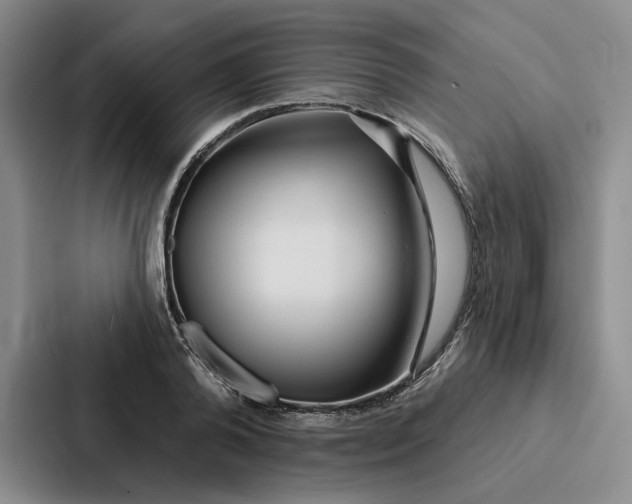 X0000086900792200705141641