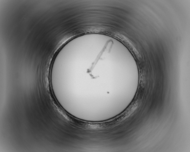 X0000086900794200705141641