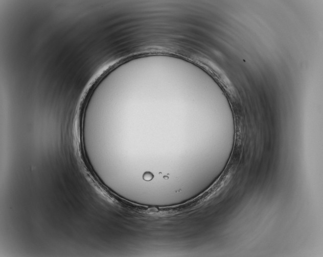 X0000086900796200705141641