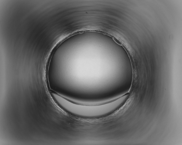 X0000086900797200705141641