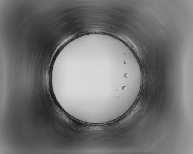 X0000086900798200705141641