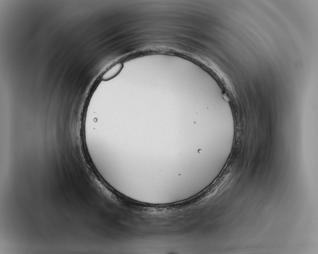 X0000086900799200705141641