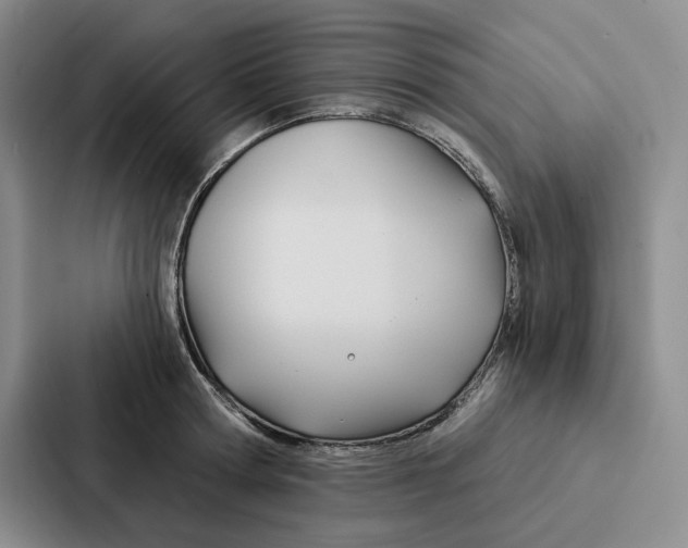 X0000086900802200705141641