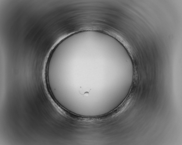 X0000086900803200705141641