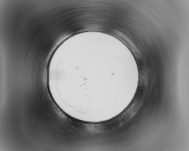 X0000086900804200705141641