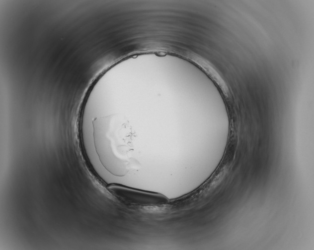 X0000086900805200705141641