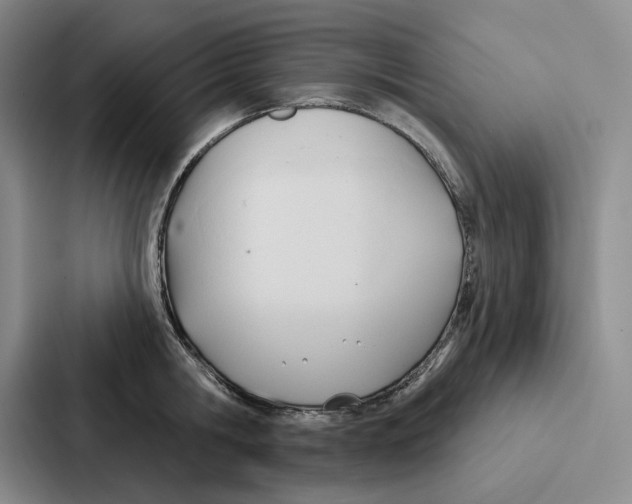 X0000086900806200705141641