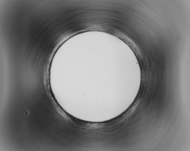 X0000086900808200705141641