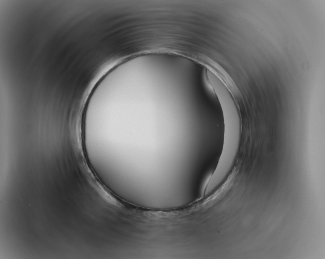 X0000086900812200705141641