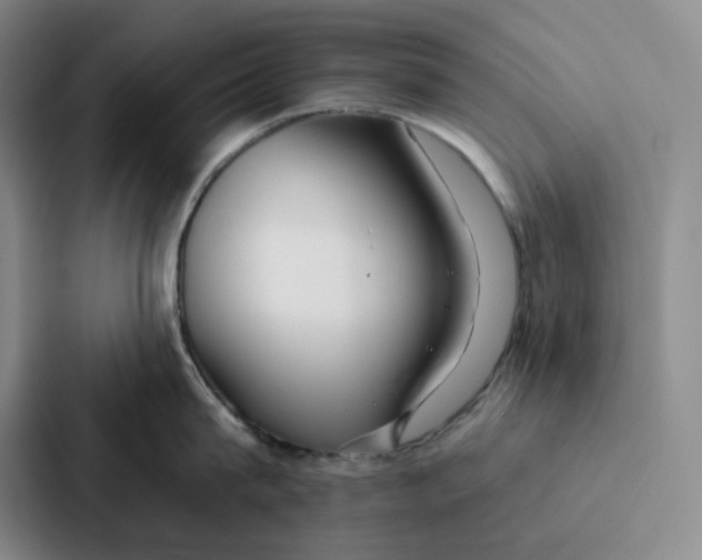 X0000086900815200705141641