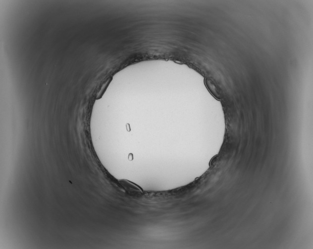 X0000086900817200705141640