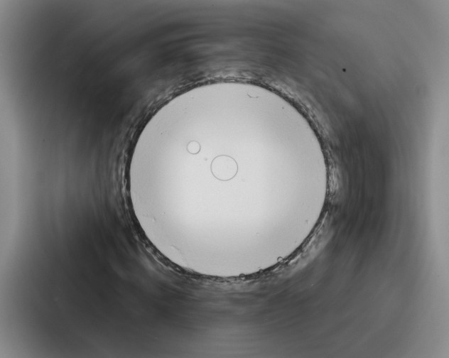 X0000086900820200705141641