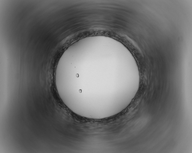 X0000086900821200705141641