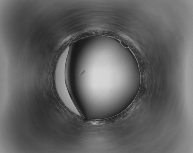 X0000086900822200705141641